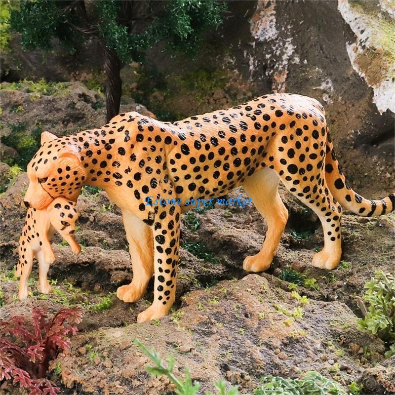 Science Exhibition Models - 090B شكل الفهد المفصل مثالي للعرض