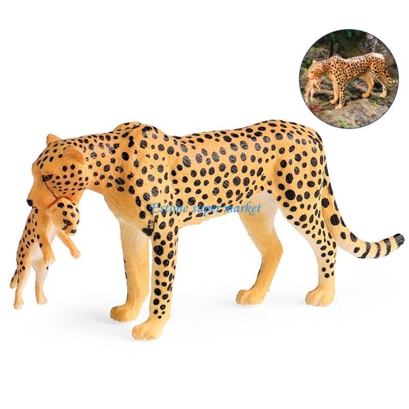 090B شكل الفهد المفصل مثالي لل - مراجعة Science Exhibition Models وسعره