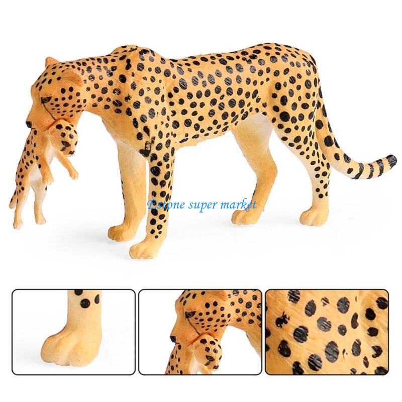 090B شكل الفهد المفصل مثالي لل - مراجعة Science Exhibition Models وسعره